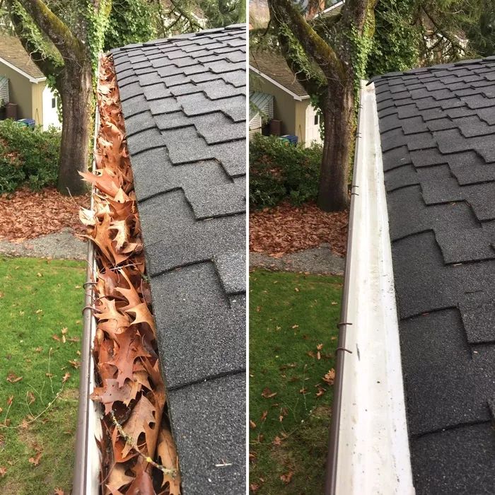 Gutter Cleaning photo 1